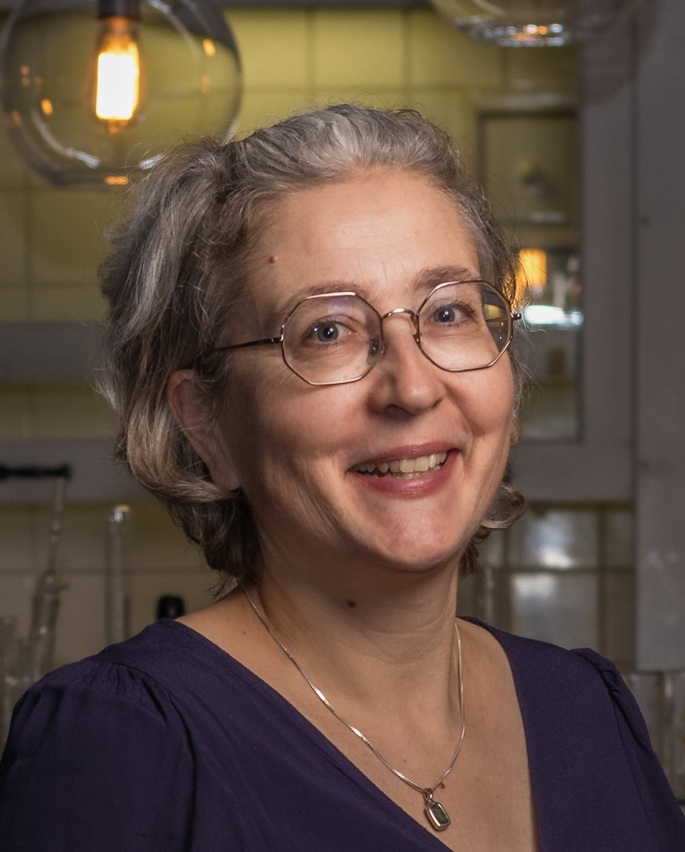 Karen van der Meulen